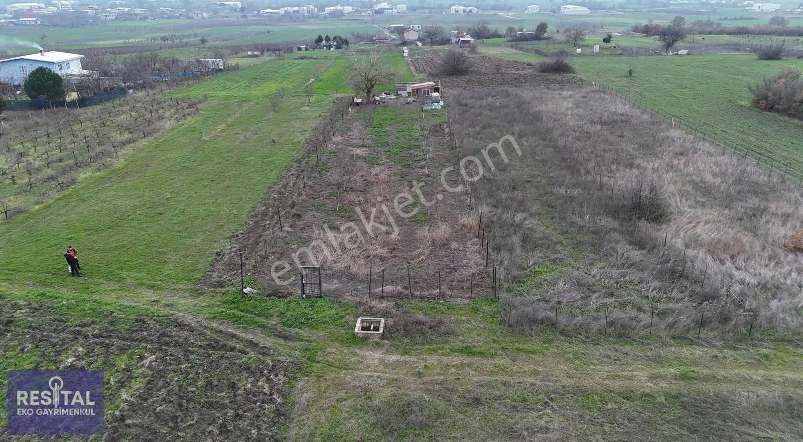 Mudanya Balabancık Köye Yakın 1174 M2 Tek Tapu Tarla - Görsel 18