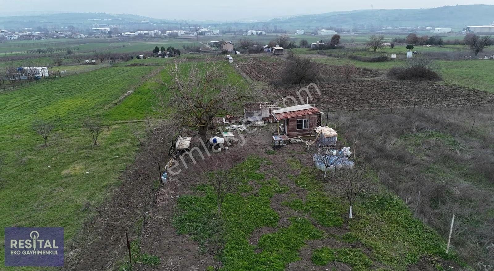 Mudanya Balabancık Köye Yakın 1174 M2 Tek Tapu Tarla - Görsel 4