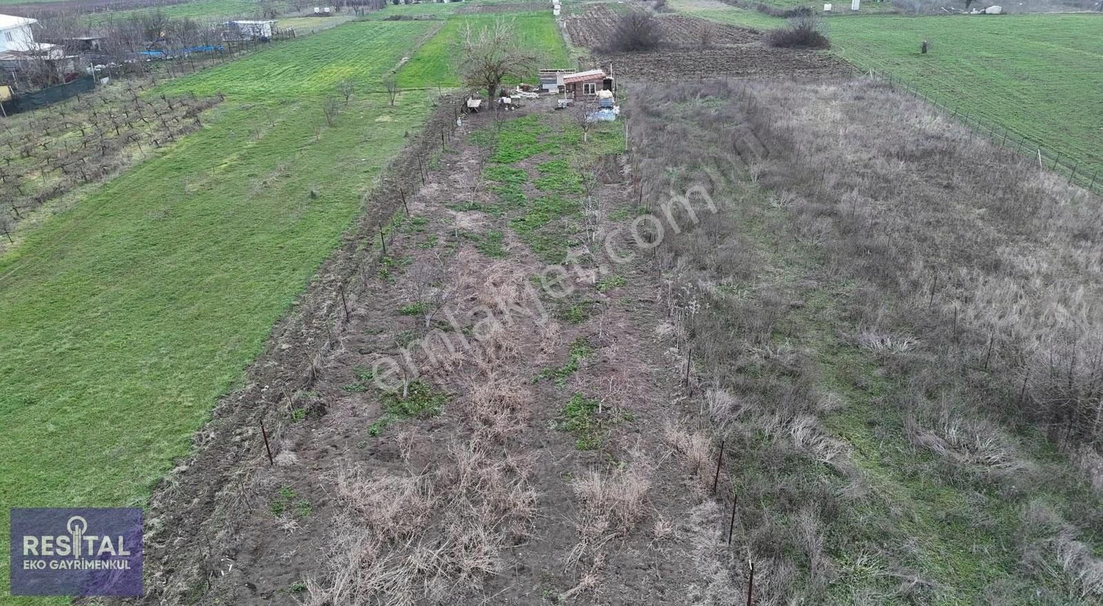 Mudanya Balabancık Köye Yakın 1174 M2 Tek Tapu Tarla - Görsel 14