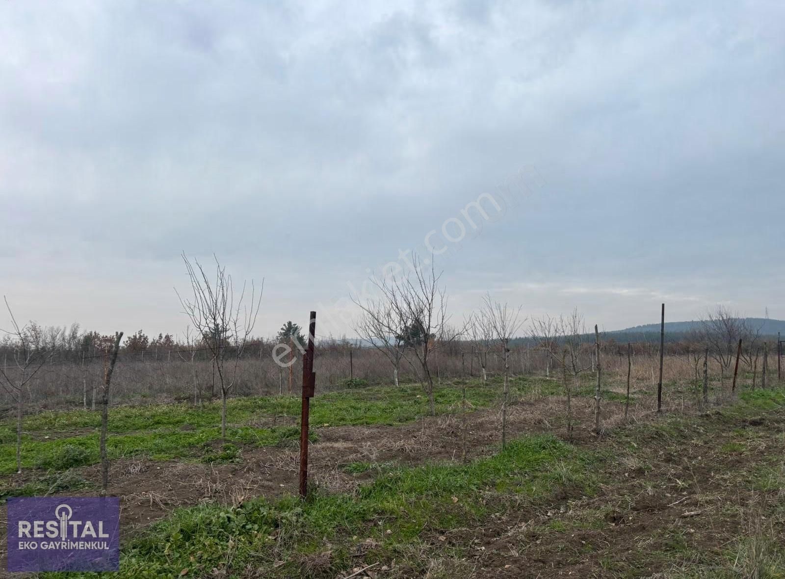 Mudanya Balabancık Köye Yakın 1174 M2 Tek Tapu Tarla - Görsel 10