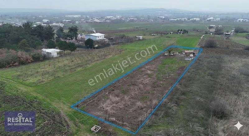 Mudanya Balabancık Köye Yakın 1174 M2 Tek Tapu Tarla