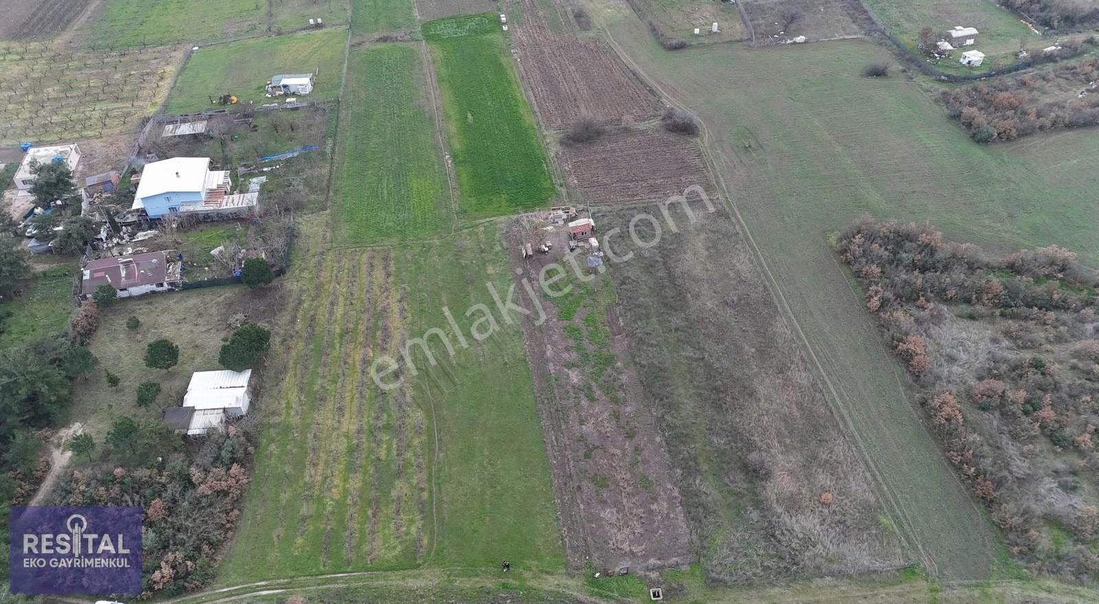 Mudanya Balabancık Köye Yakın 1174 M2 Tek Tapu Tarla - Görsel 3