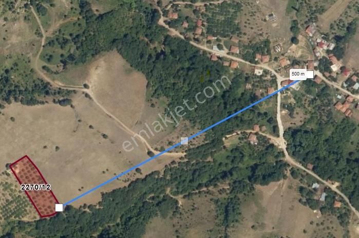 4173m2 İznik Süleymaniye Mah./köy Yakınında