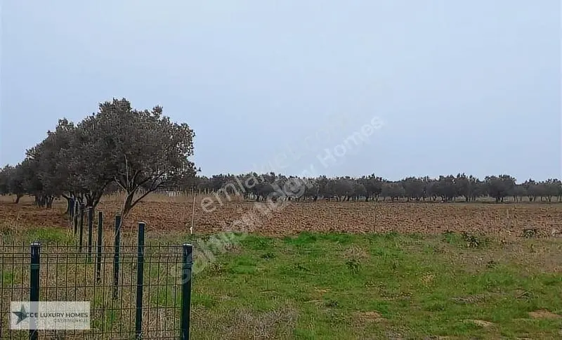 Şarköy Eriklice'de Denize Sıfır Deniz Manzaralı Satılık Arsa