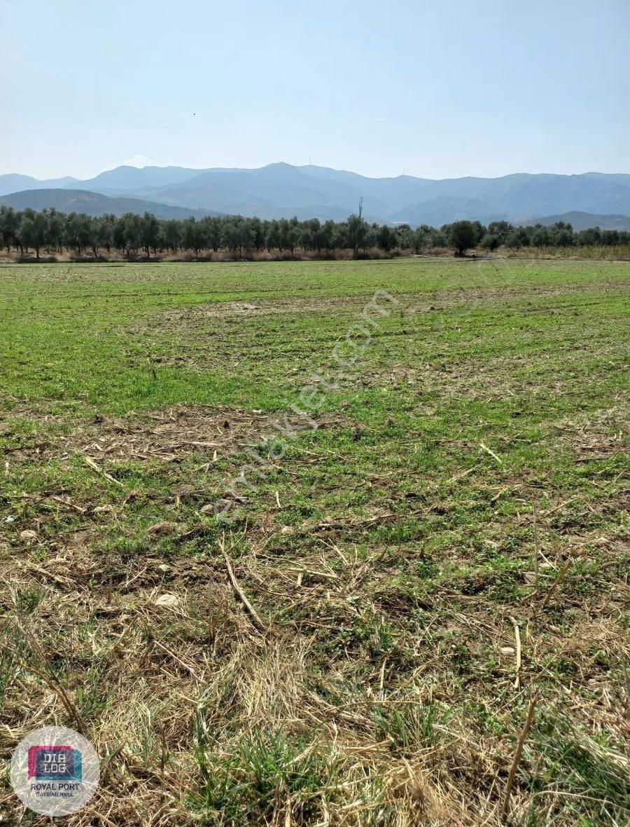 İzmir Tire Müstakil Satılık Tarla - Görsel 16