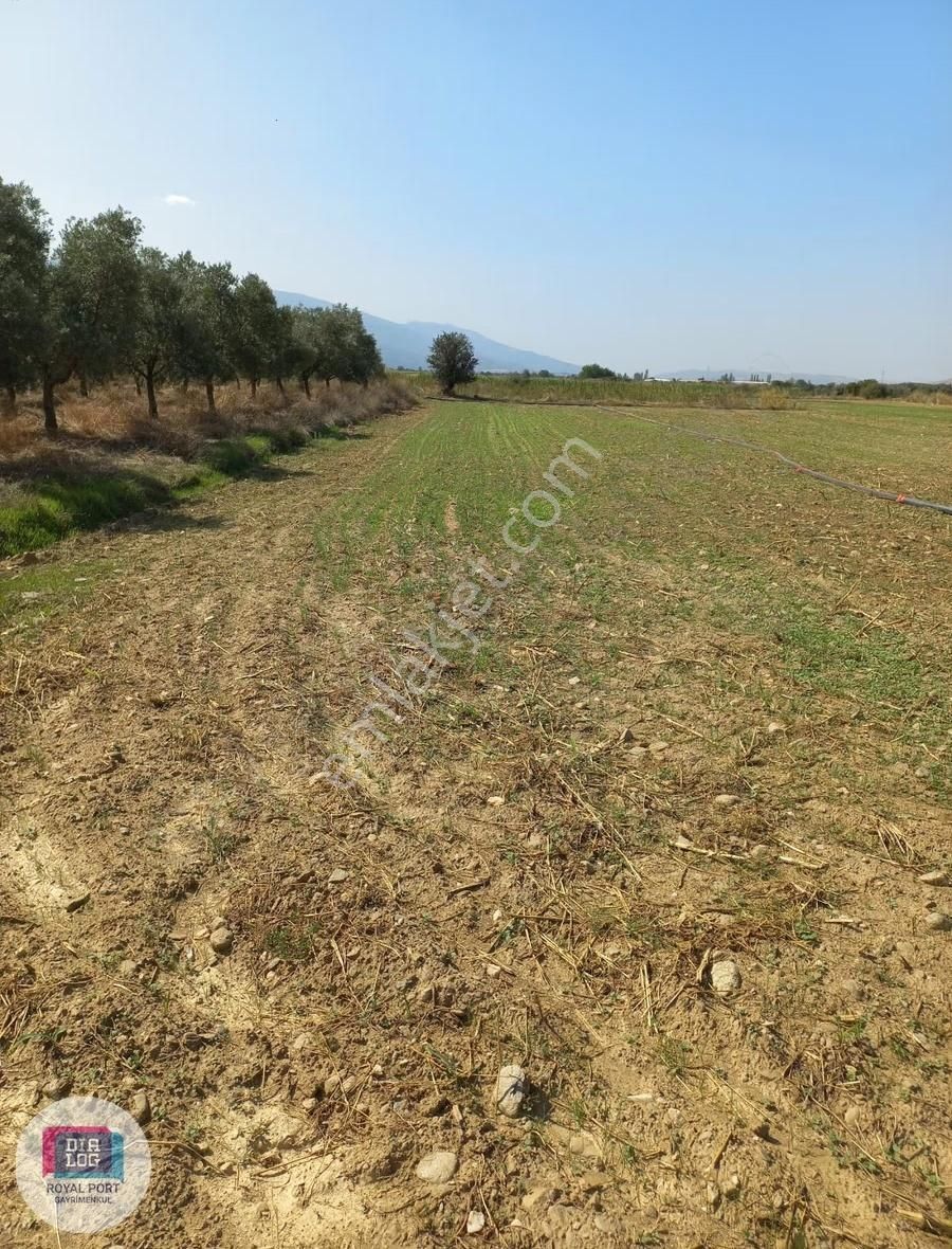 İzmir Tire Müstakil Satılık Tarla - Görsel 3