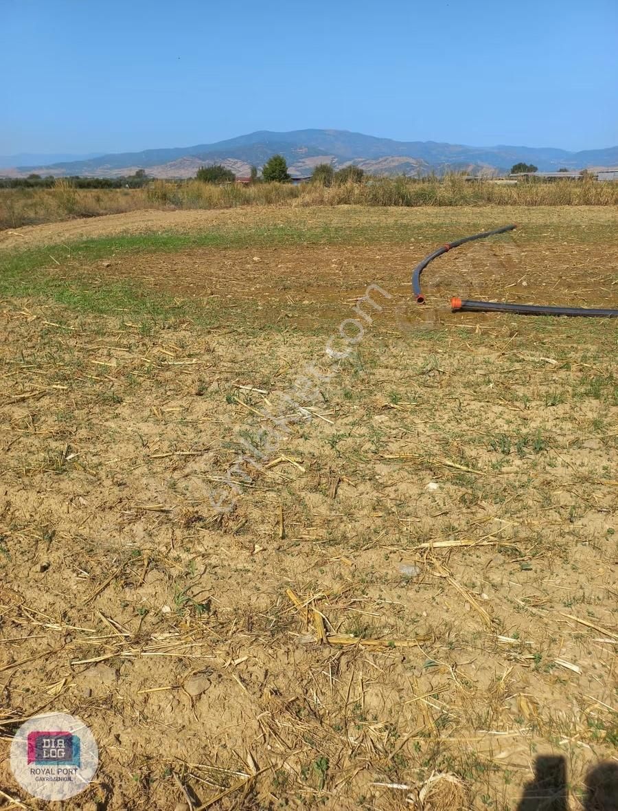 İzmir Tire Müstakil Satılık Tarla - Görsel 2