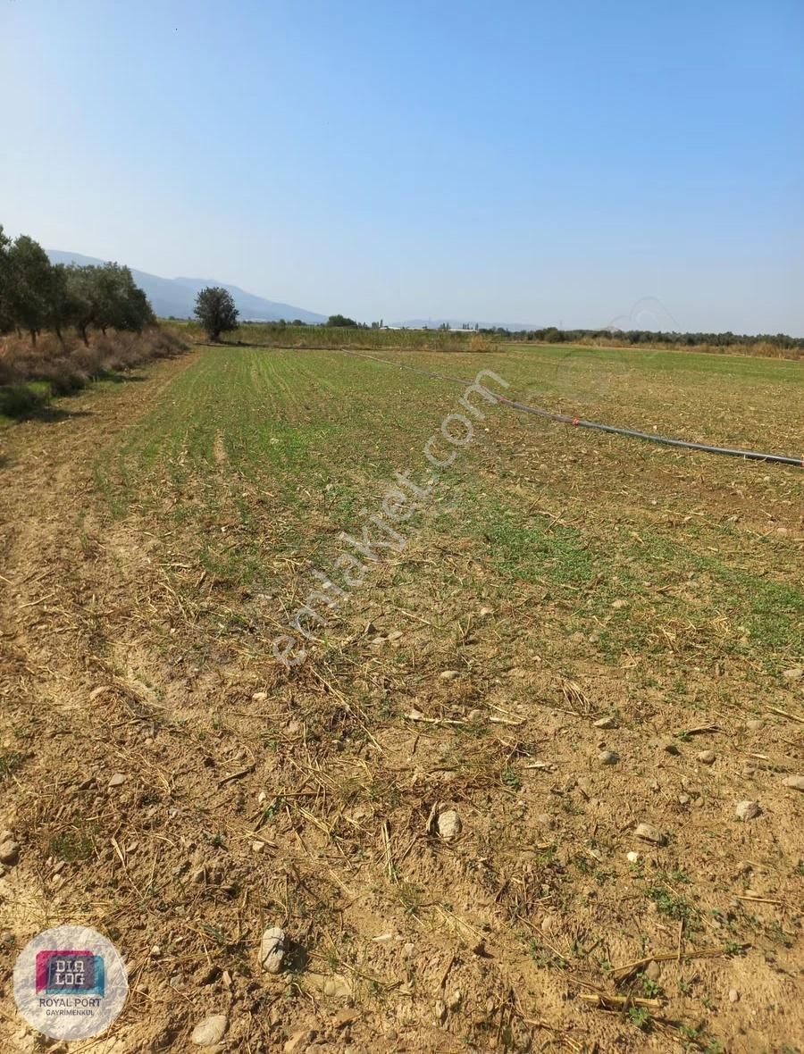 İzmir Tire Müstakil Satılık Tarla - Görsel 9