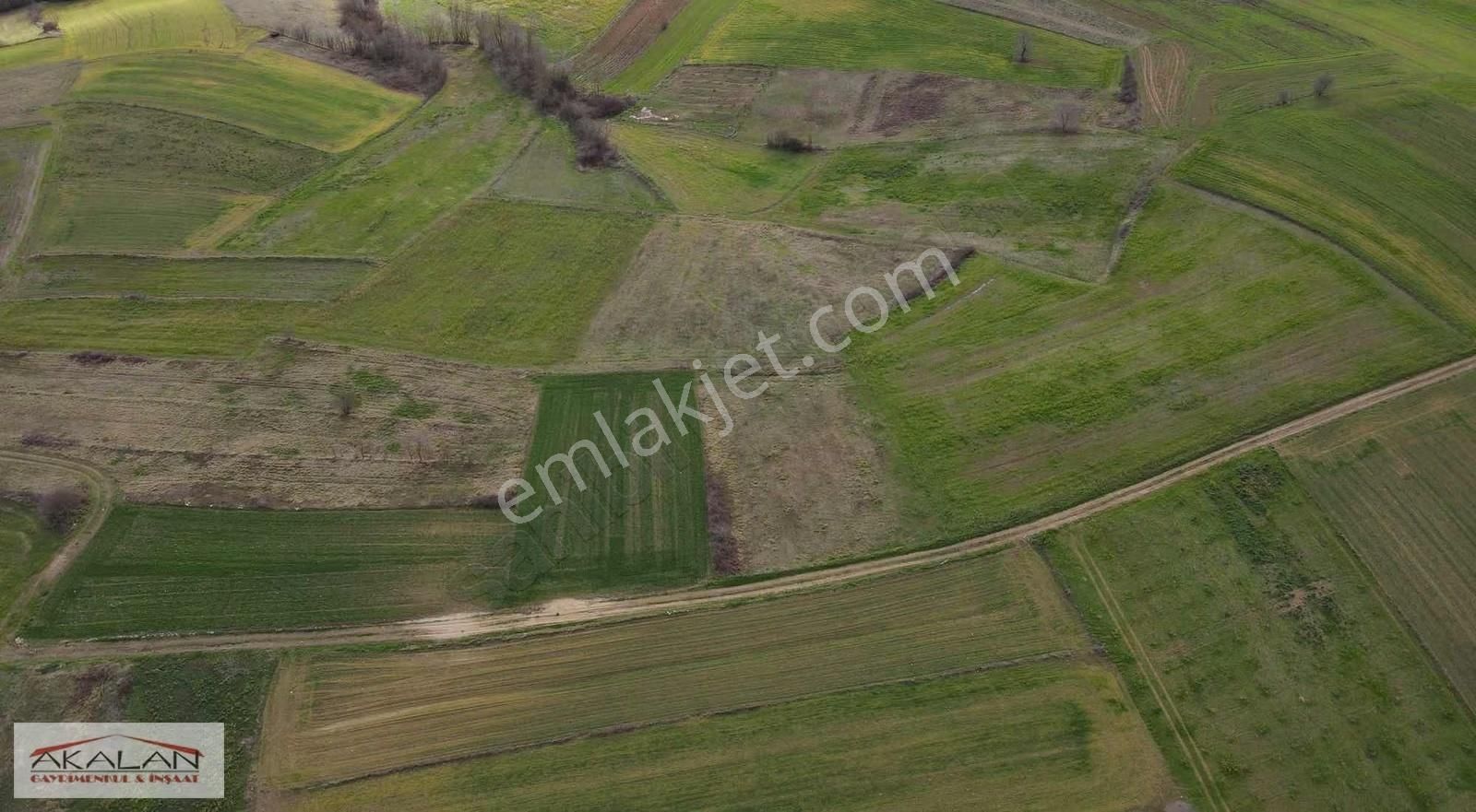 Gıosb Karşısında Yollu Kupon Arazi - Görsel 4