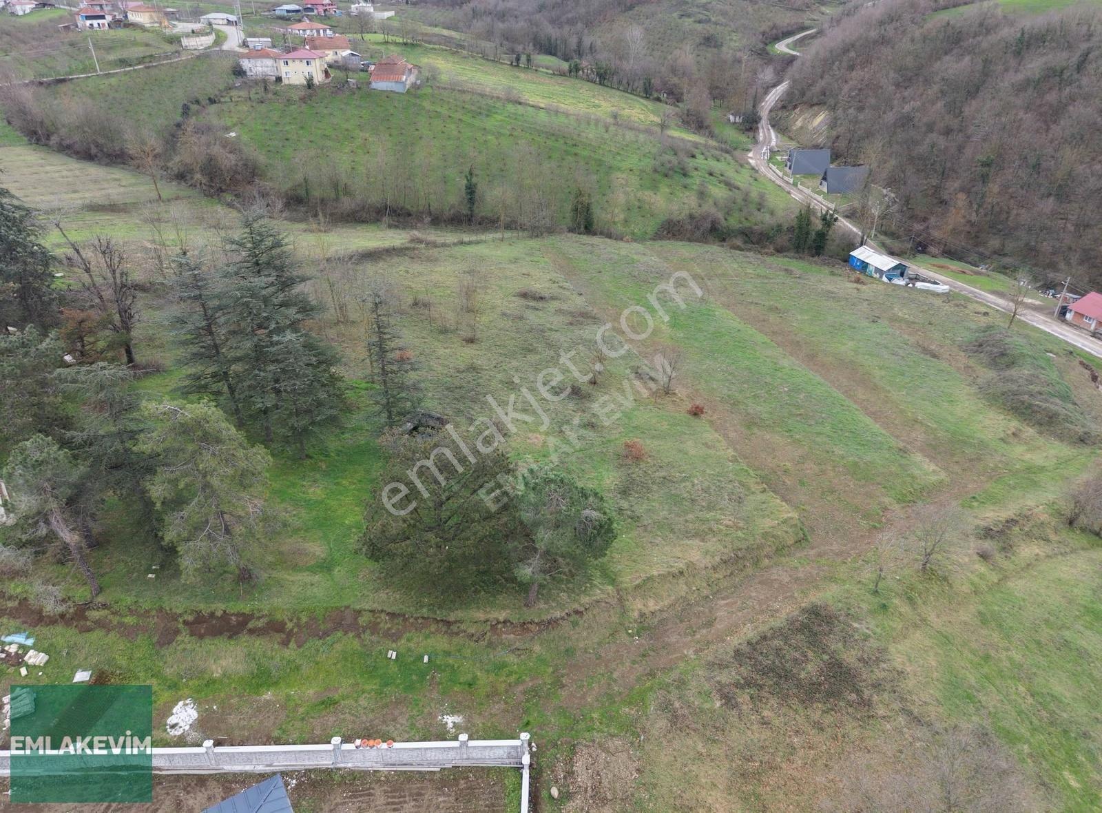Emlakevim - Sakarya Hendek Esentepe Mah. 1600 M2 Satılık Arsa ! - Görsel 3