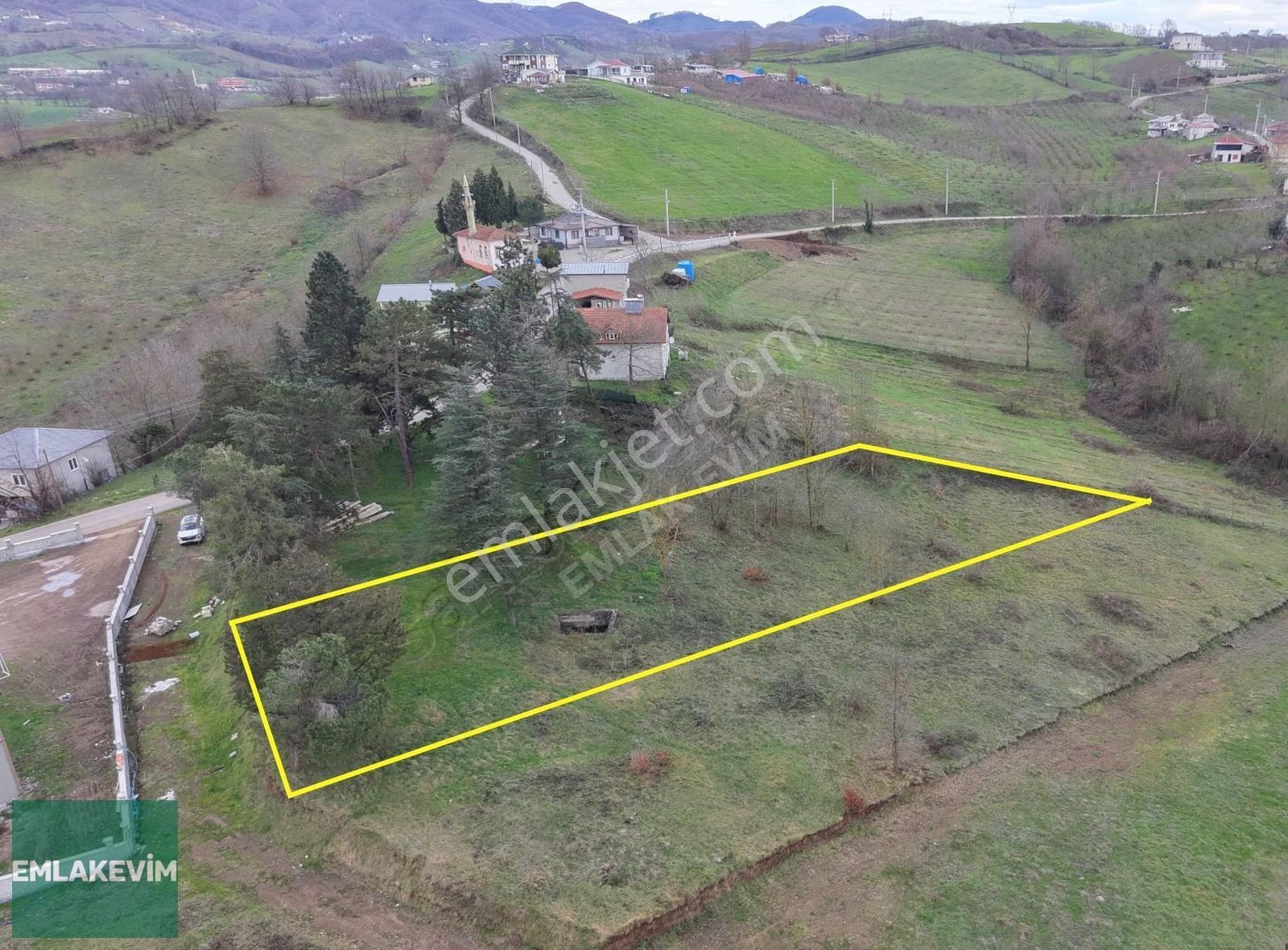 Emlakevim - Sakarya Hendek Esentepe Mah. 1600 M2 Satılık Arsa ! - Görsel 12