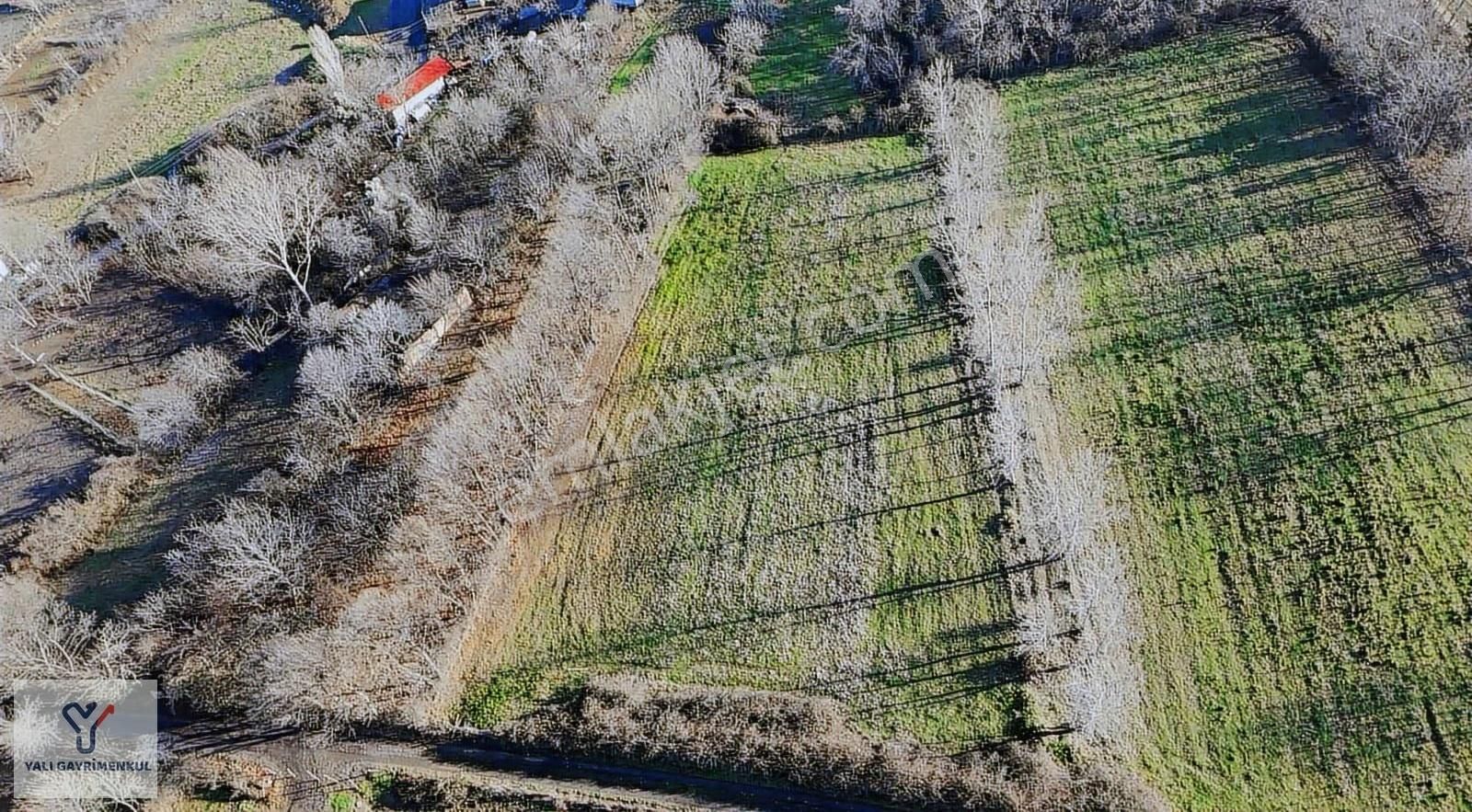 Yalı Gayrimenkul | Çobanözü'nde Yatırımların Merkezinde Fırsat - Görsel 12