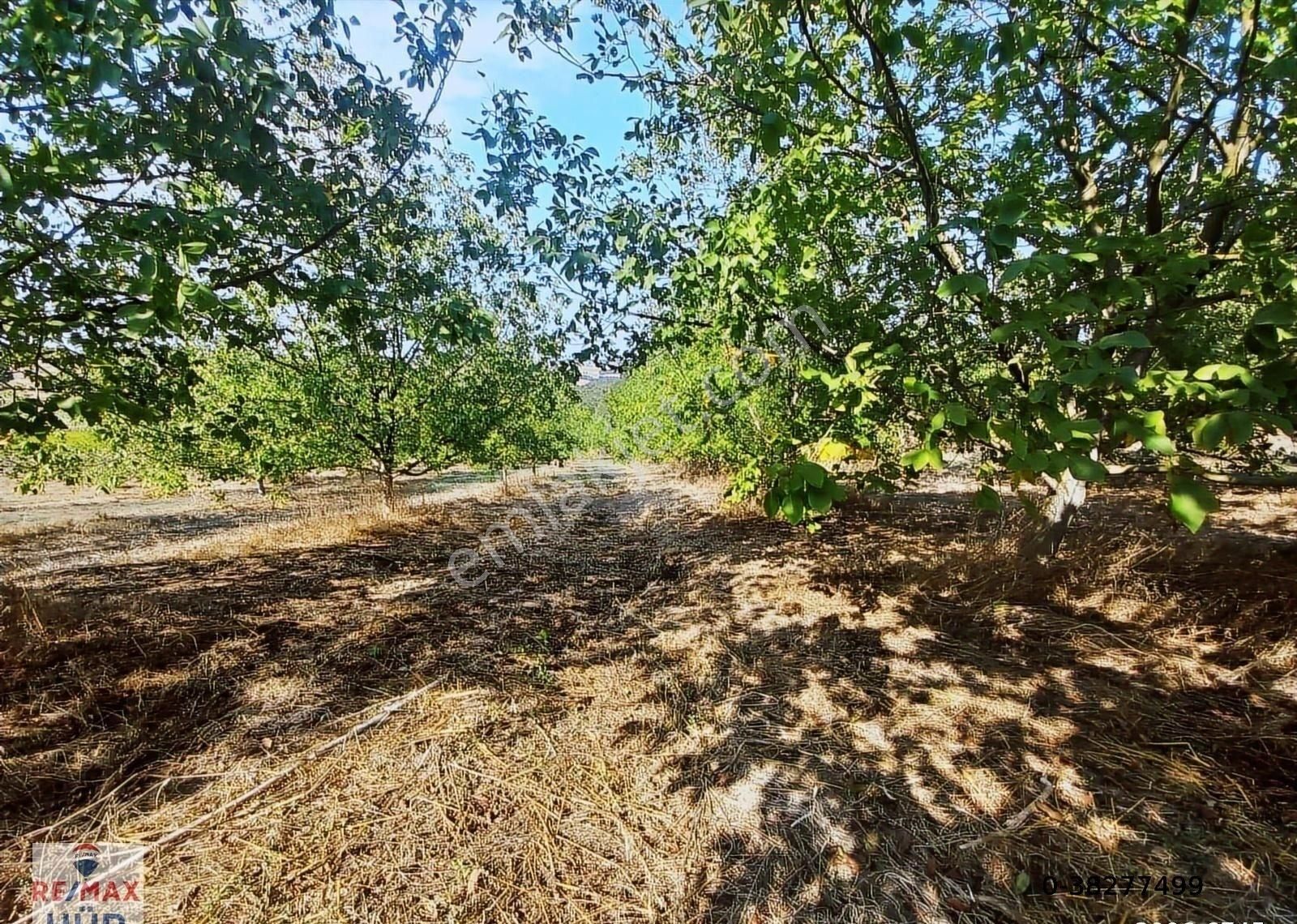 Remaxhür Özlem Şimşek'ten Kocaeli,kandıra,araman'da Cevizbahçesi - Görsel 14