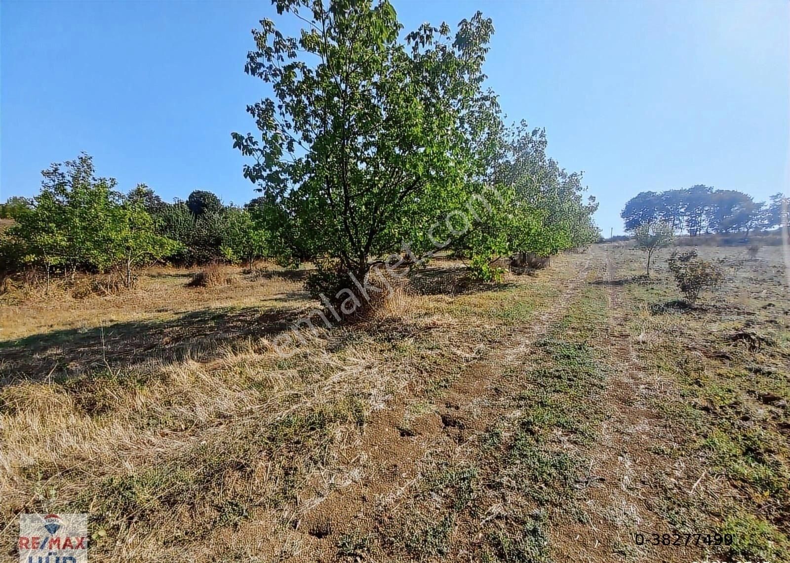 Remaxhür Özlem Şimşek'ten Kocaeli,kandıra,araman'da Cevizbahçesi - Görsel 8