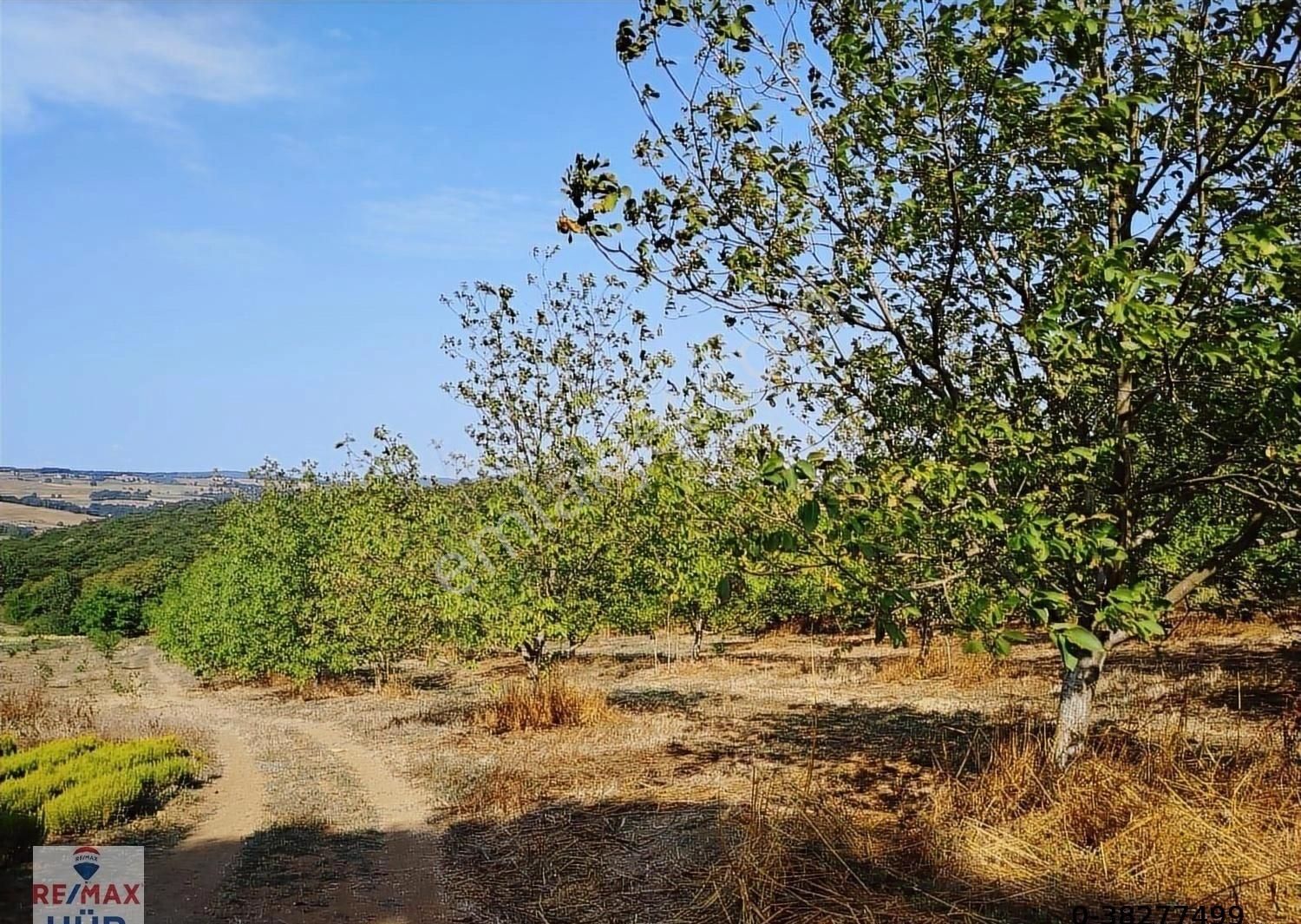 Remaxhür Özlem Şimşek'ten Kocaeli,kandıra,araman'da Cevizbahçesi - Görsel 13