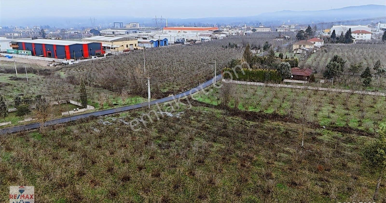 Talha Yeğin'den Satılık İmarlı Arsa - Görsel 15