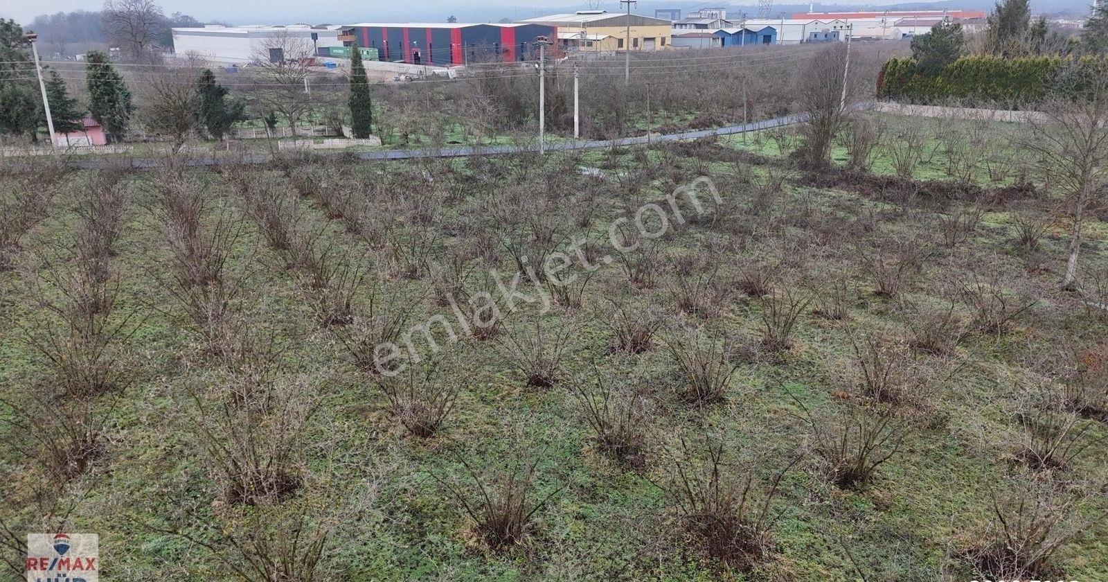 Talha Yeğin'den Satılık İmarlı Arsa - Görsel 14