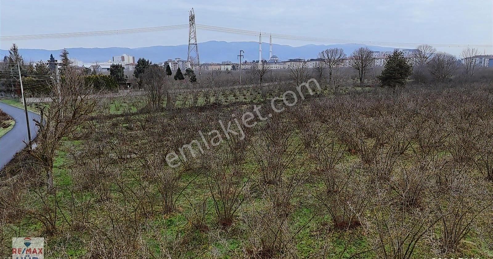 Talha Yeğin'den Satılık İmarlı Arsa - Görsel 7