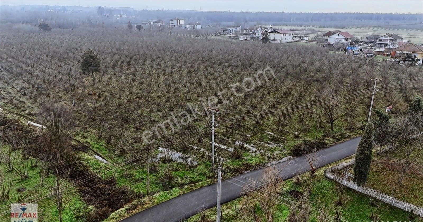 Talha Yeğin'den Satılık İmarlı Arsa - Görsel 11