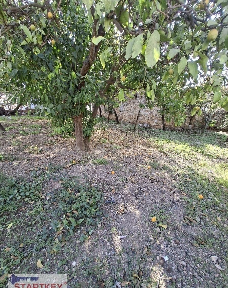 Startkey Pelit Yazı'da Satılık Çok Uygun Fıyata Bahceli Taş Ev - Görsel 13