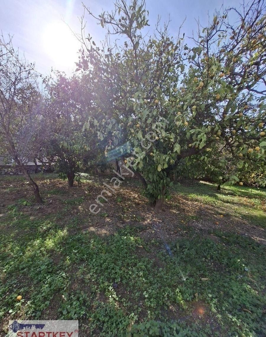Startkey Pelit Yazı'da Satılık Çok Uygun Fıyata Bahceli Taş Ev - Görsel 10