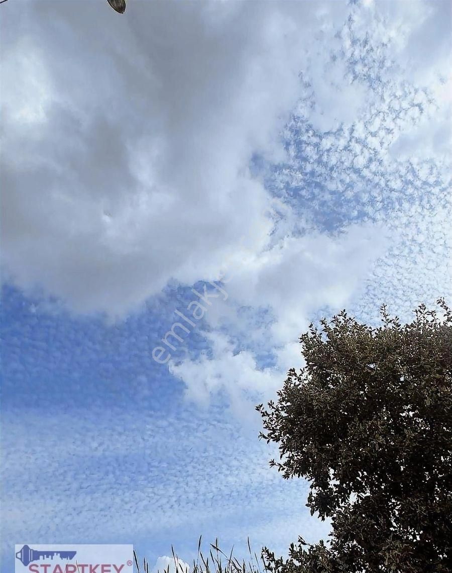 Startkey Pelit Reşadiye'de Doğa İle İç İçe 2+1 Müstakil Villa - Görsel 3