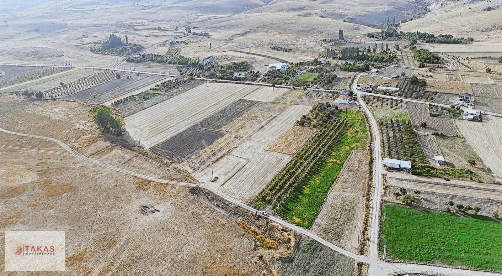 !!!kaçmaz Fırsat Yetişmiş Armut Ağacı Olan Bakımlı Satılık Tarla - Görsel 2