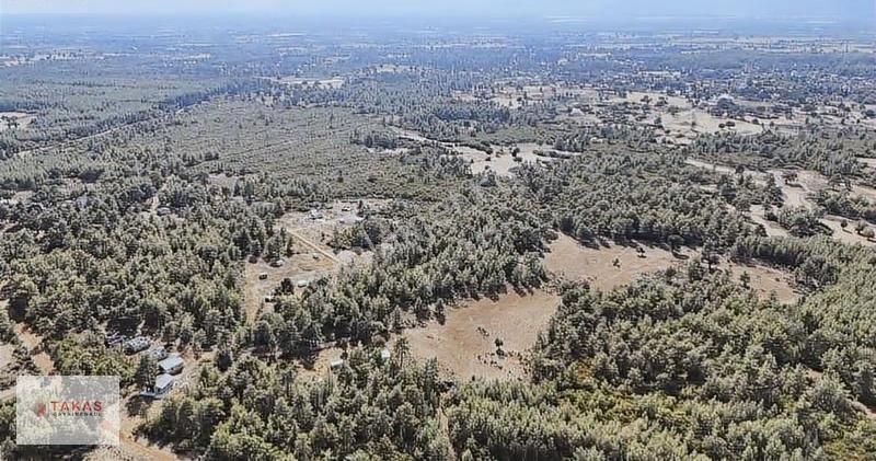 Fırsat Rızai Taksim Yapılmış Parsellere Ayrılmıs Satılık Tarla