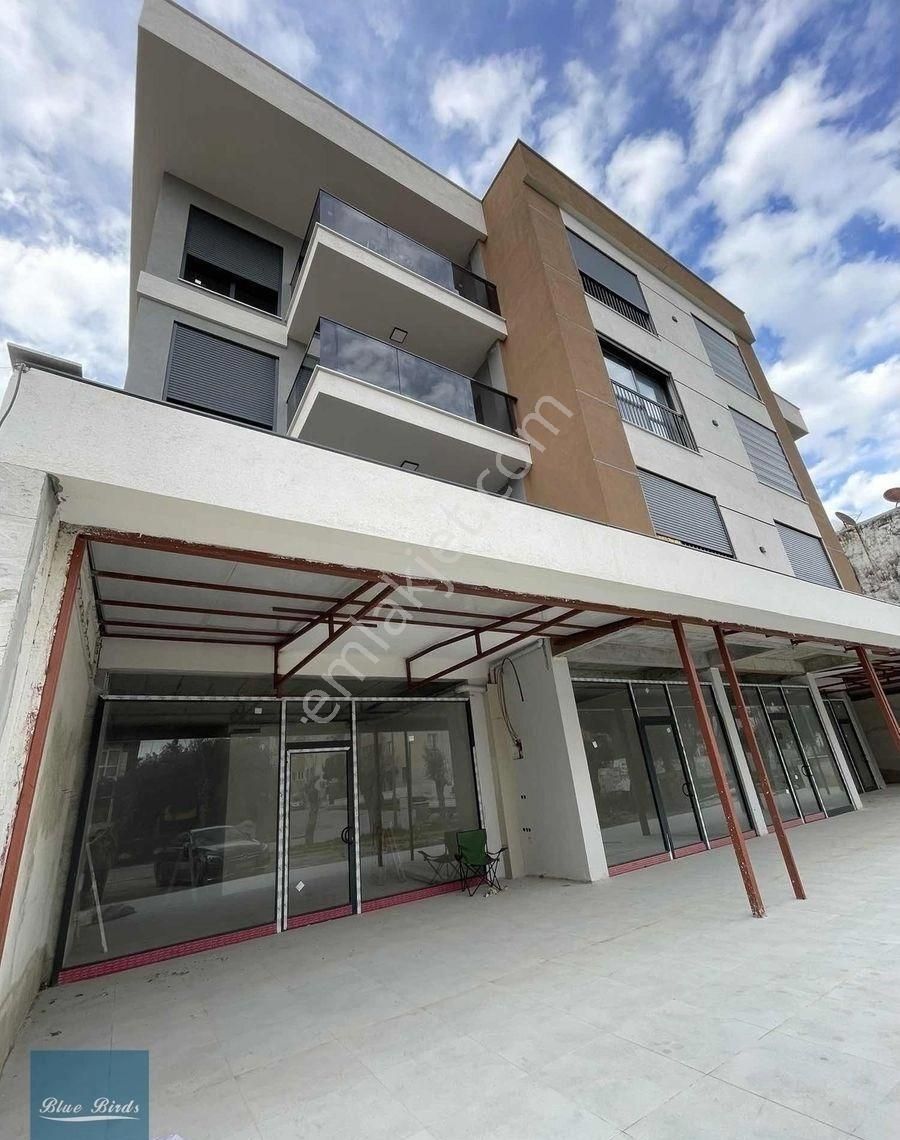 Kuşadası Kadınlar Denizi