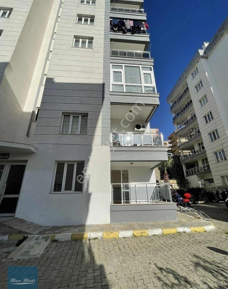 Kuşadası Ticaret Odası Arkası - Görsel 9