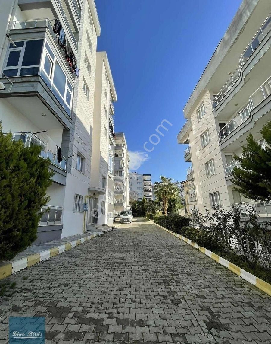 Kuşadası Ticaret Odası Arkası