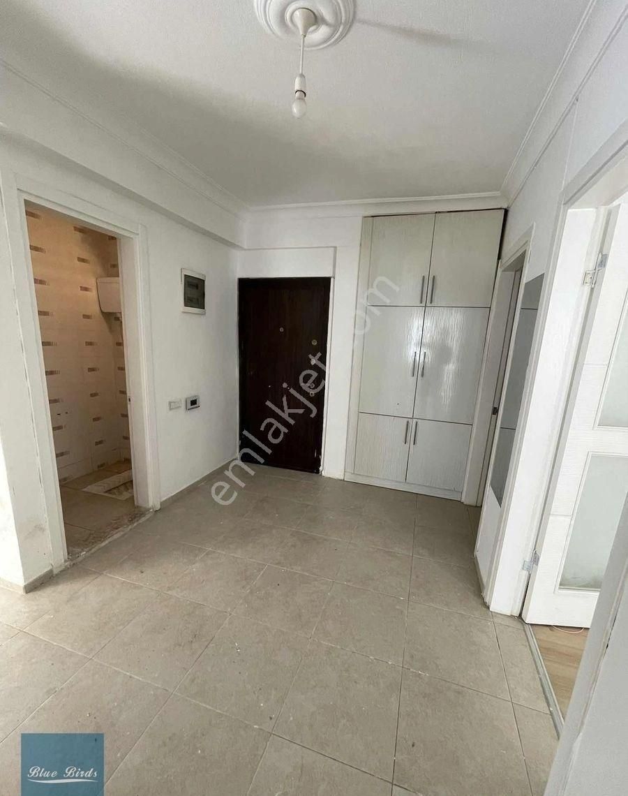 Kuşadası Ticaret Odası Arkası - Görsel 14