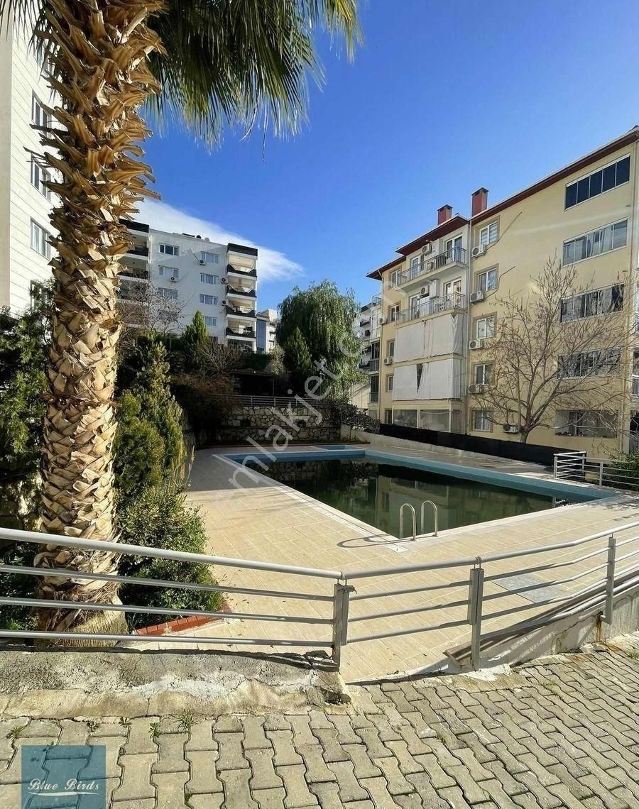 Kuşadası Ticaret Odası Arkası - Görsel 22