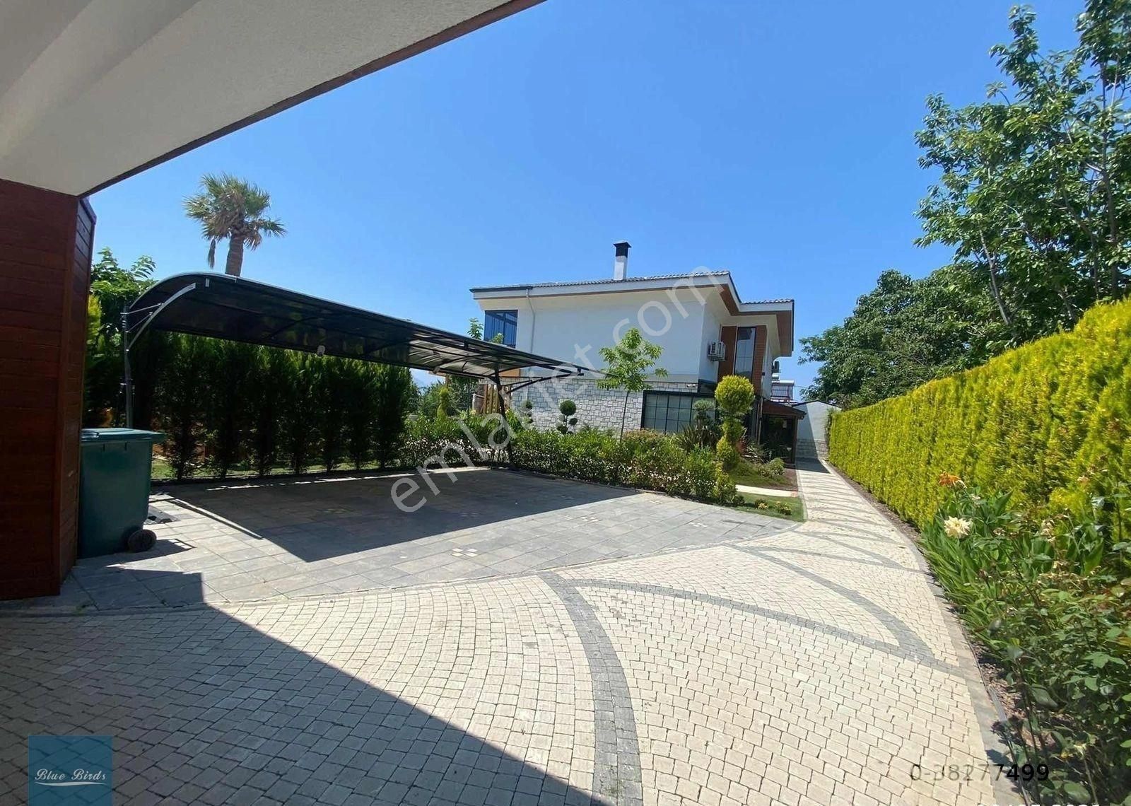 Kuşadasında 1 Dönüm İçerisinde Lux Malikane - Görsel 13