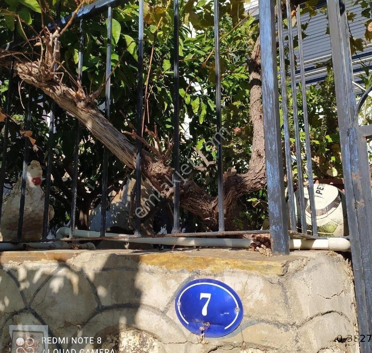 Gümüldür De Triplex Villa - Görsel 14