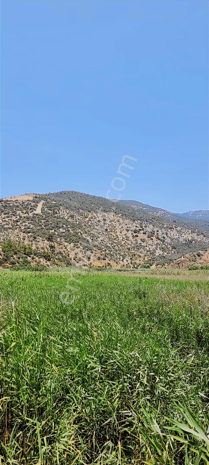 6 Dönüm Kadastro Yolu Var Ana Yola 2. Cephe Arazi - Görsel 2