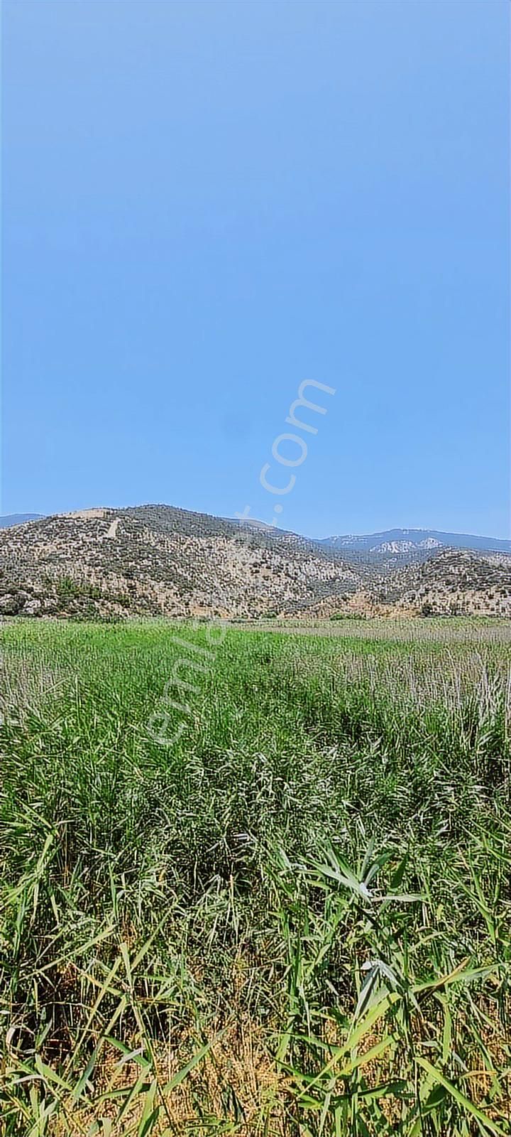 6 Dönüm Kadastro Yolu Var Ana Yola 2. Cephe Arazi