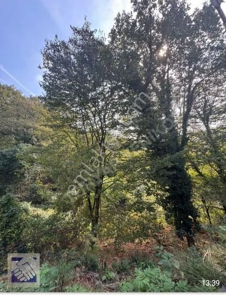 Bahçeköyde Kelepir.sıfır.satılık 2.adet Daire - Görsel 14