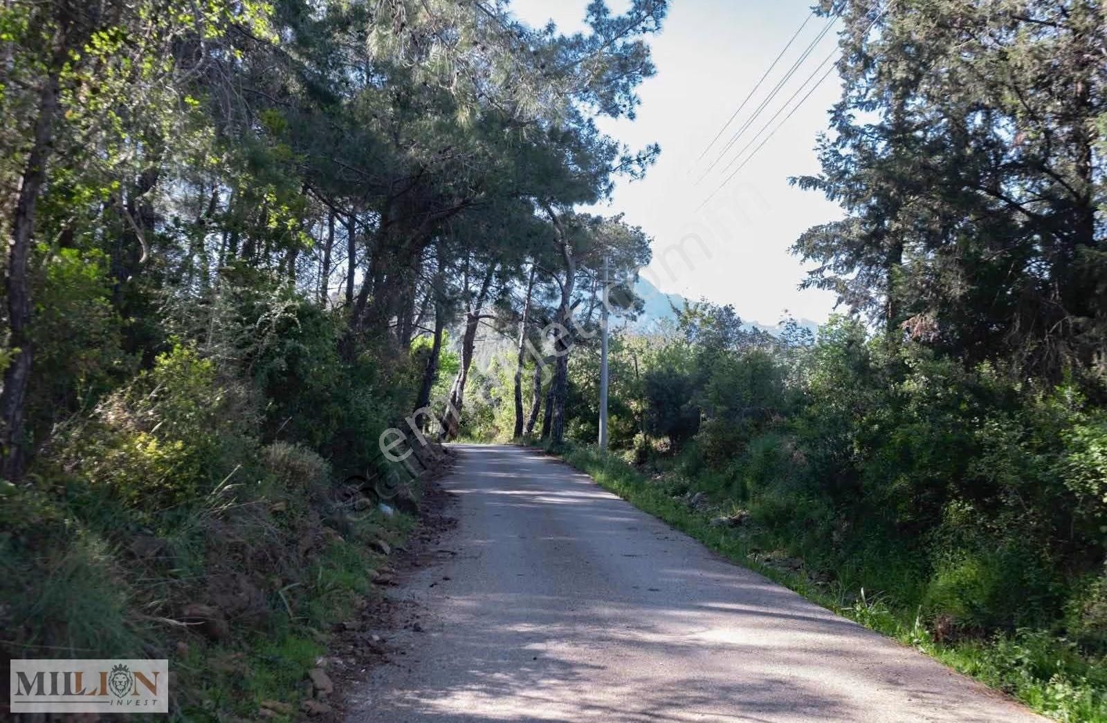 Çamyuva'da Denize Yakın Havuz Doğa Manzaralı Kiralık 2+1 Daire - Görsel 9