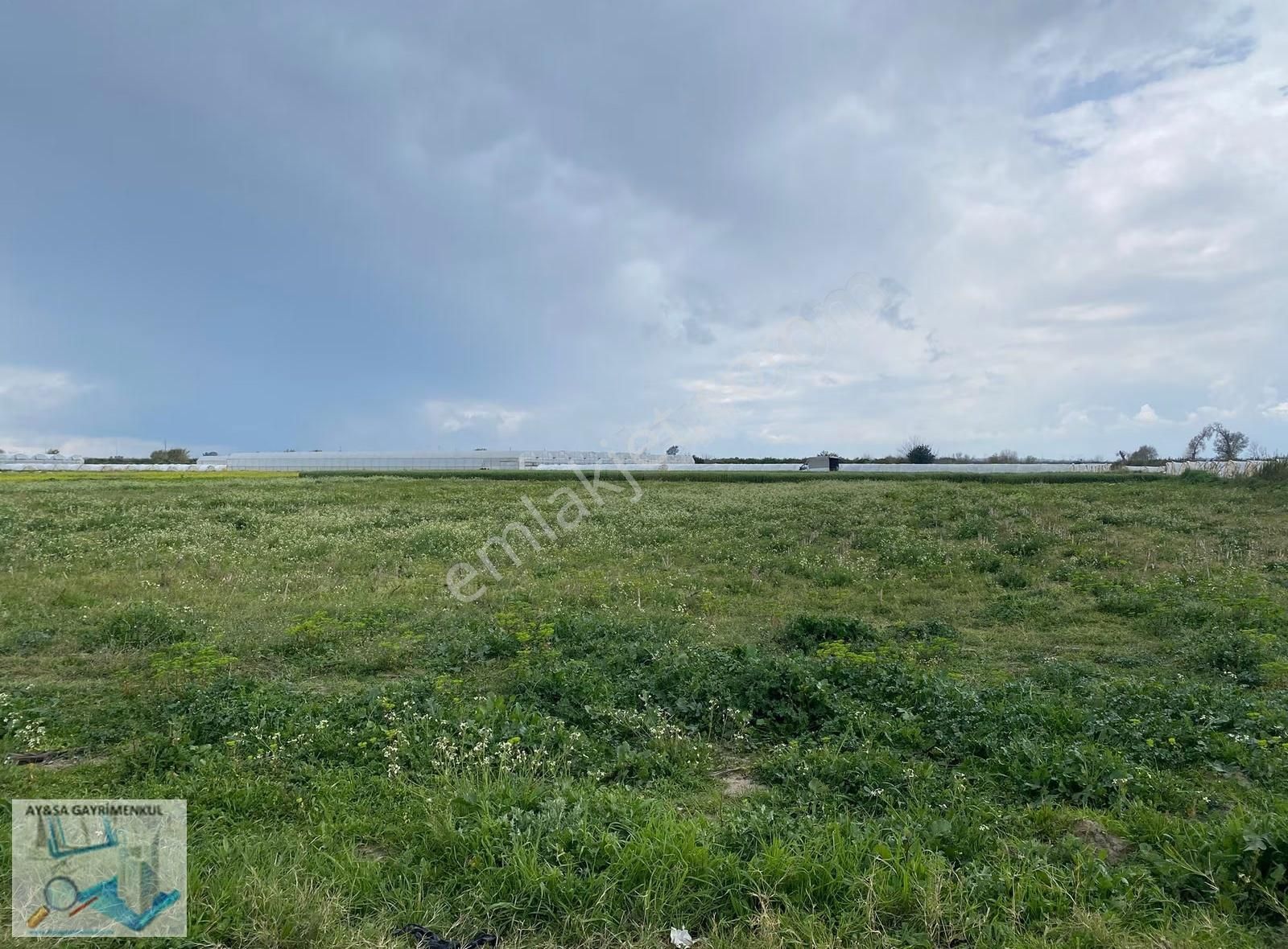 Aysa'dan Kumköy'de Irmağa Cephe Müstakil Tapulu 3956m² Tarla - Görsel 11