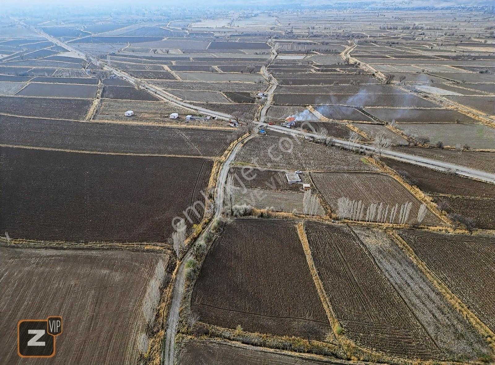 Gömeç'de Yol Kenarı Sulu Tarıma Uygun Satılık Tarla - Görsel 2