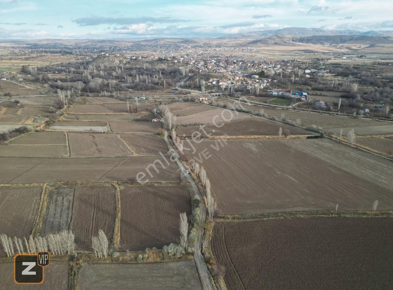 Gömeç'de Yol Kenarı Sulu Tarıma Uygun Satılık Tarla - Görsel 3