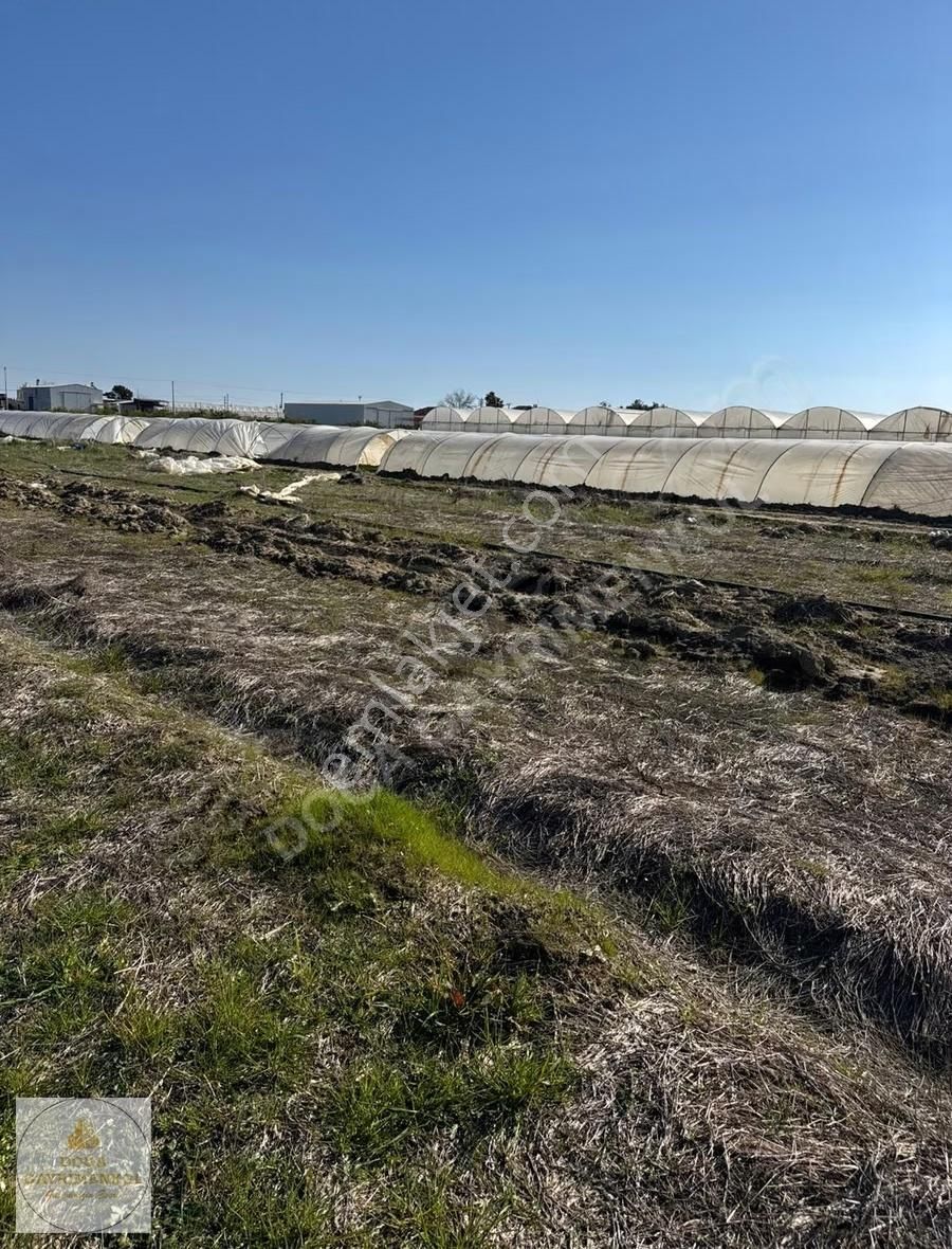 Antalya Serik Yukarıkocayatakta Ticari Bölgede 5.300 M² Tarla - Görsel 3