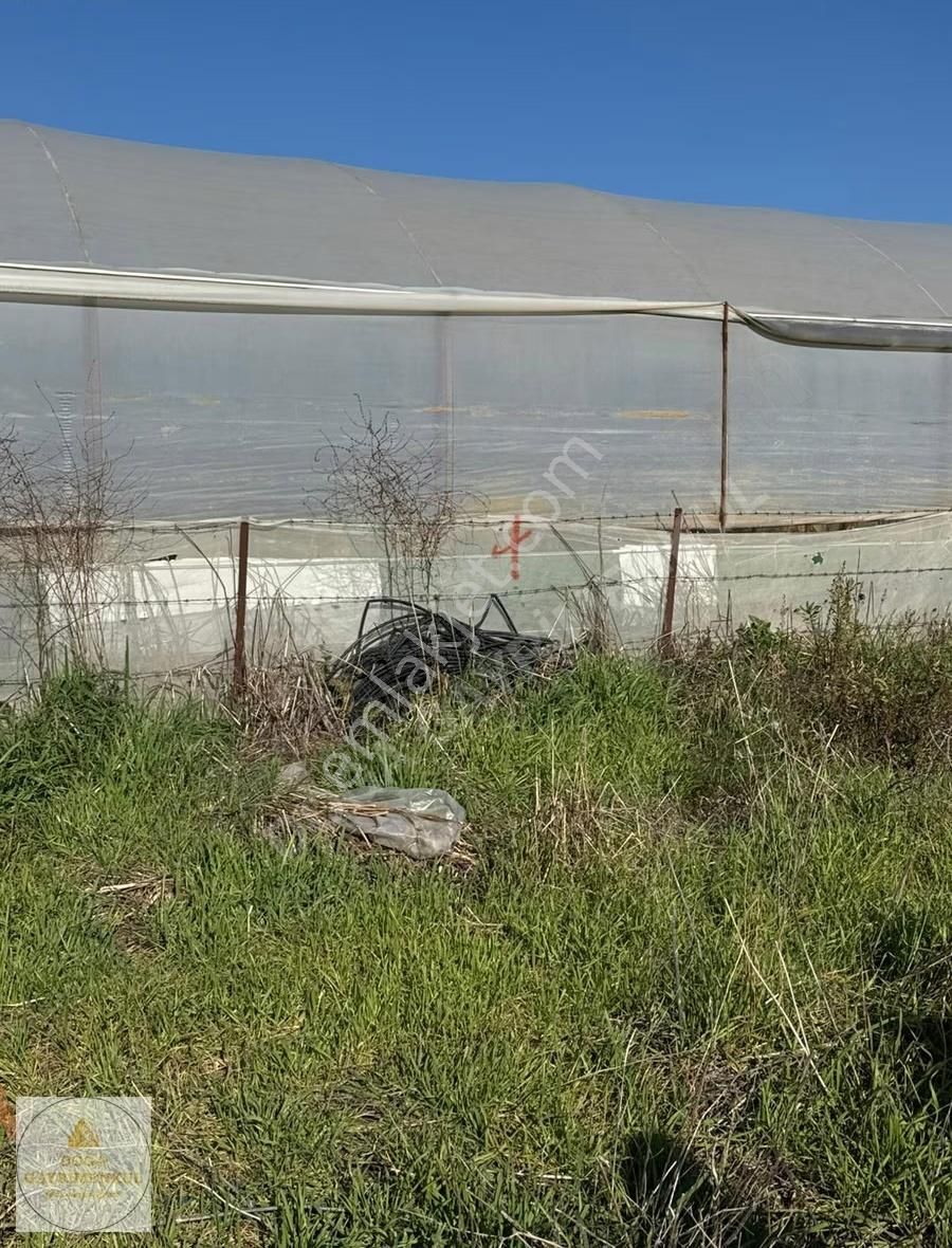 Antalya Serik Yukarıkocayatakta Ticari Bölgede 5.300 M² Tarla - Görsel 15