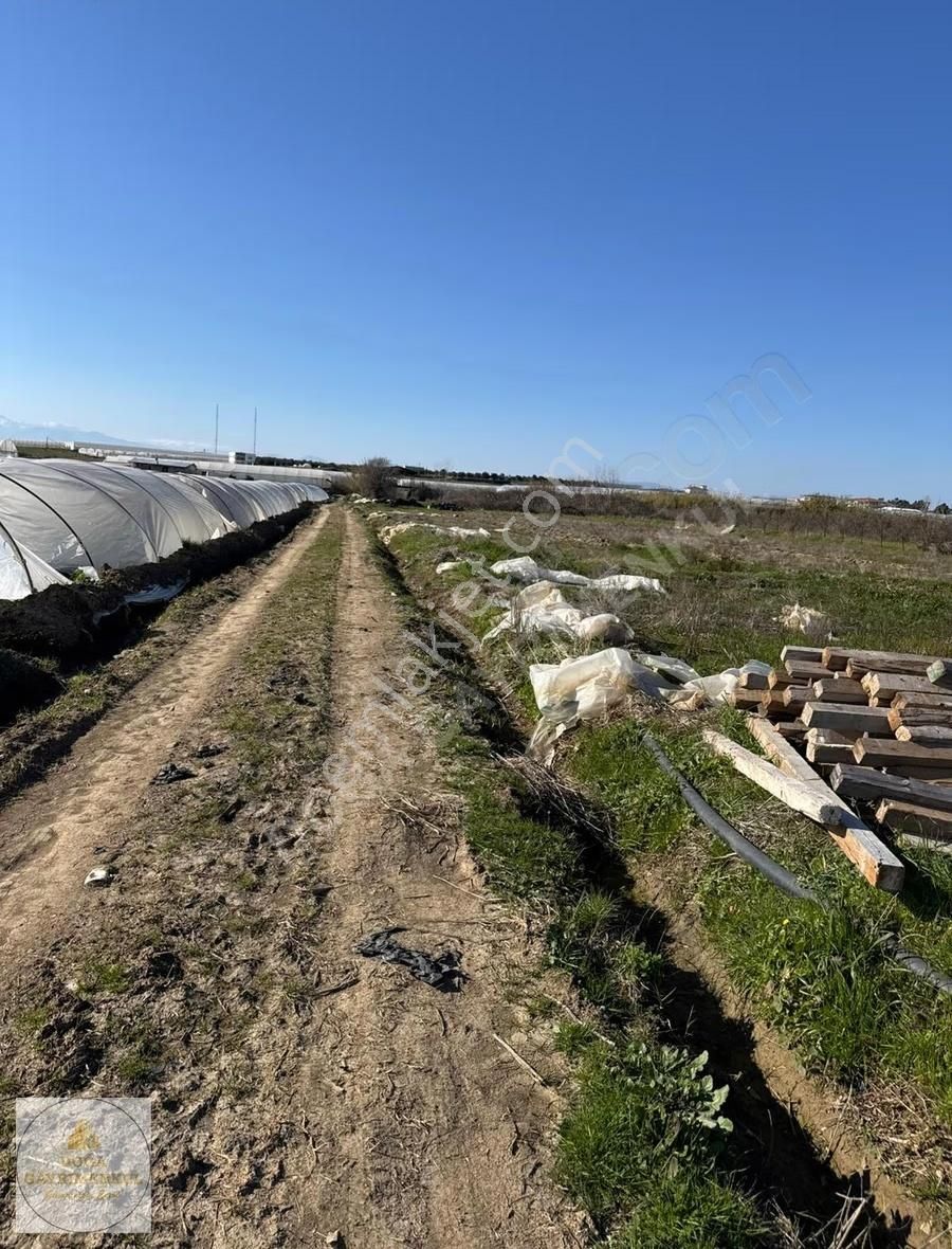 Antalya Serik Yukarıkocayatakta Ticari Bölgede 5.300 M² Tarla - Görsel 13