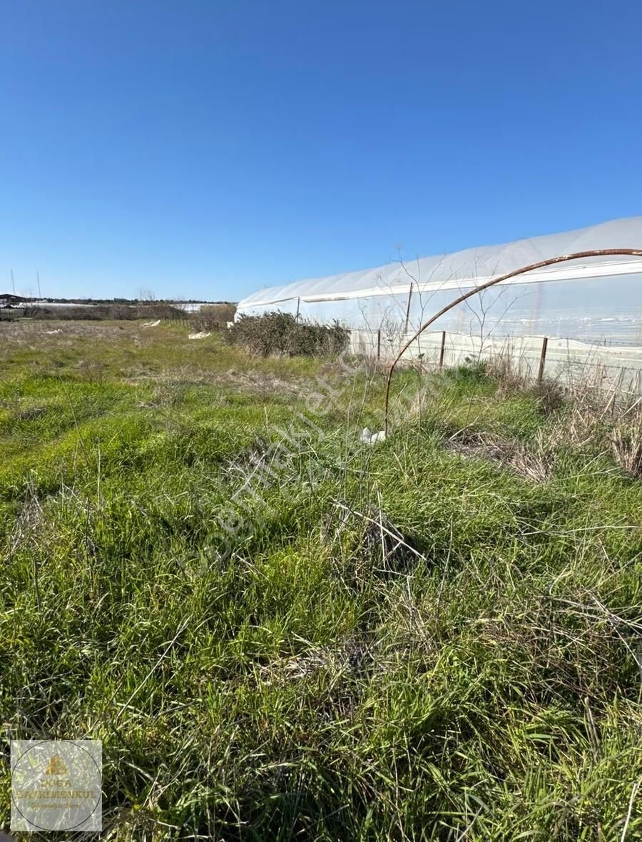 Antalya Serik Yukarıkocayatakta Ticari Bölgede 5.300 M² Tarla - Görsel 12