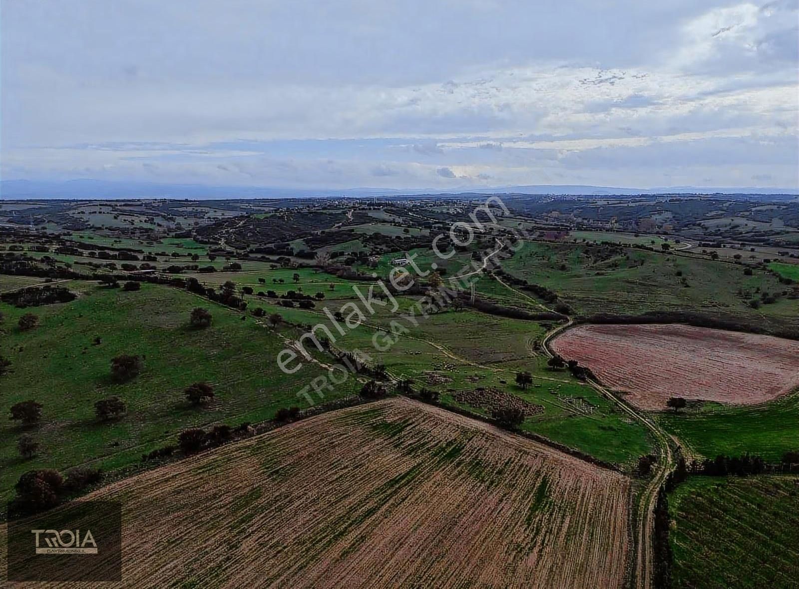 Ezine Gıda Osb Dibinde Yatırımlık Tarla 12,250m2 - Görsel 3