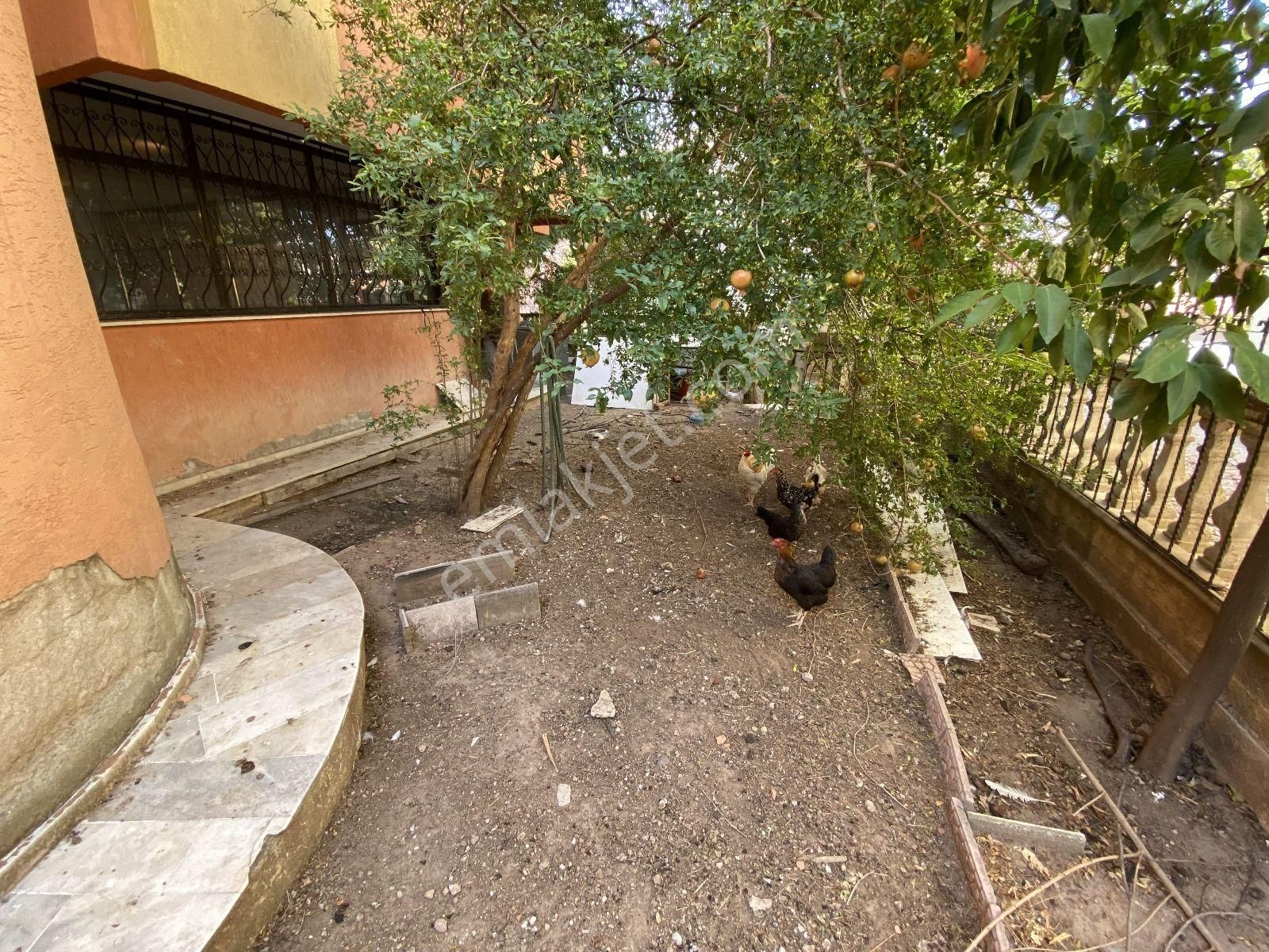 Ticari Kullanıma Uygun 4 Katlı Bahçeli Müstalik Bina - Görsel 5