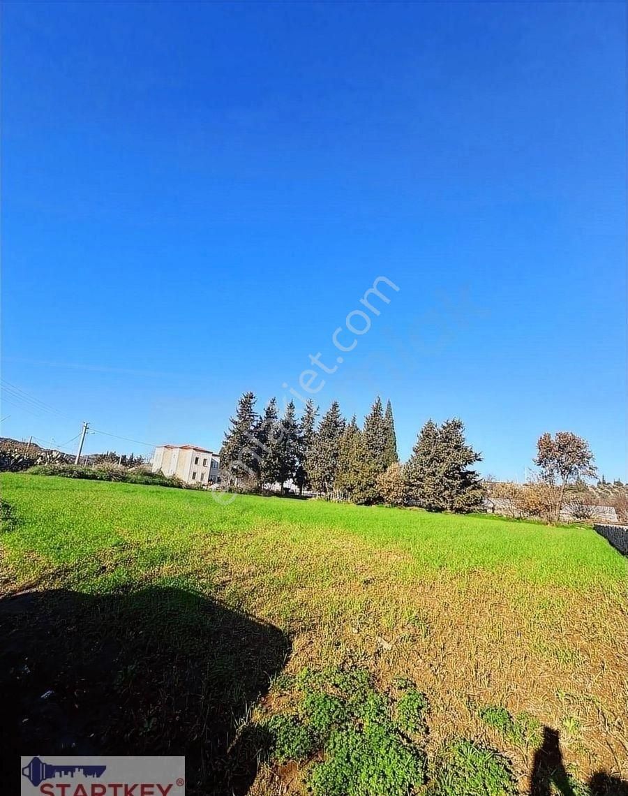 Startkey Pelit Kızlan Mh.resmi Yola Cepheli 1722 M2 Tarla - Görsel 4