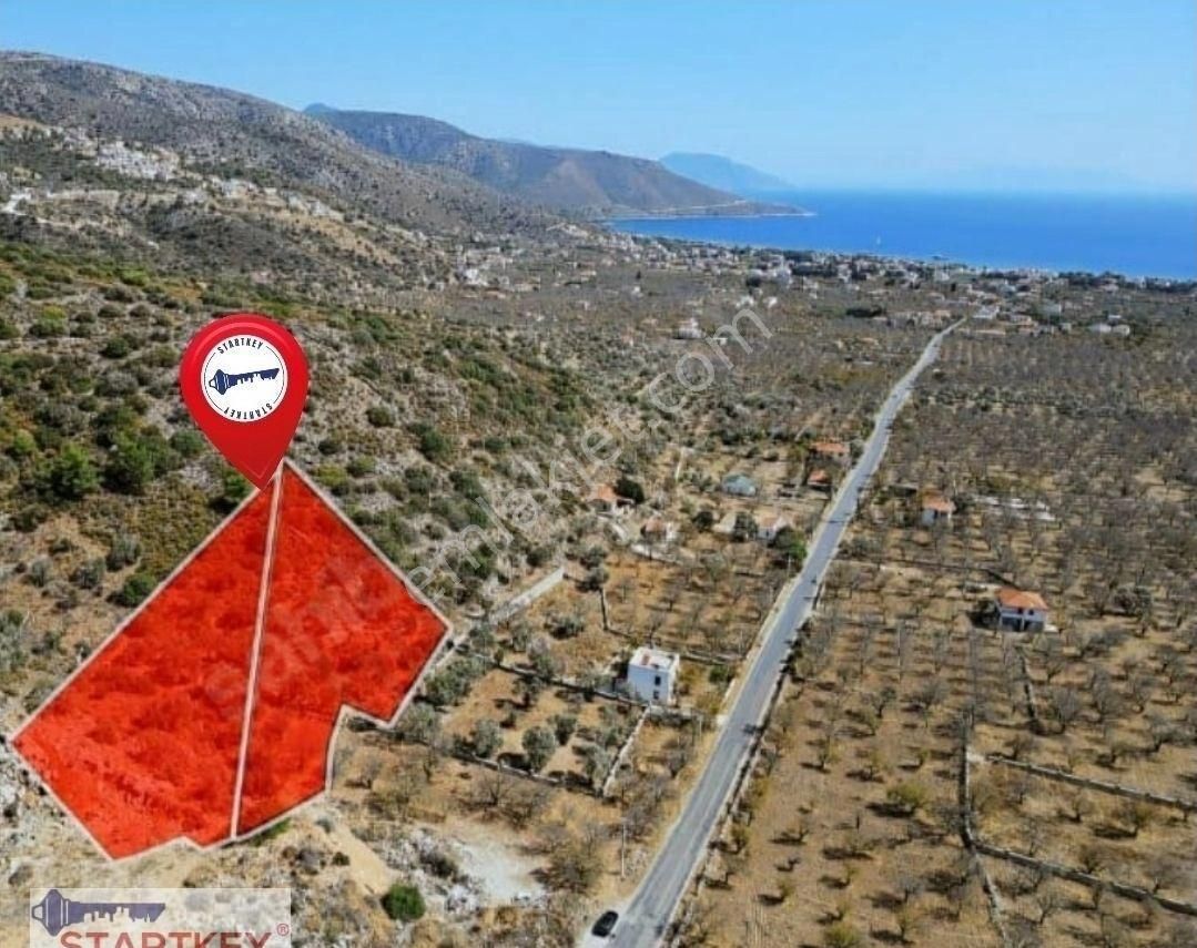 Startkey Pelit Yaka Mah. Palamutbükü'nde Yatırımlık Tarla - Görsel 9